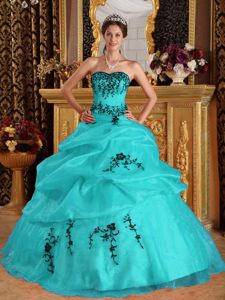 Turquoise Organza Sweetheart Dress for 15 with Appliques Hot Sale