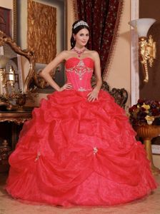 Top Coral Red Organza Pick-ups Dress for Quince with Appliques