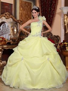 Light Yellow One Shoulder Appliques Quinceanera Gown in Organza