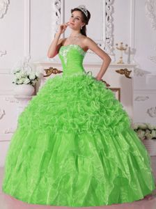 Spring Green Quinceanera Gowns with Appliques and Ruffles