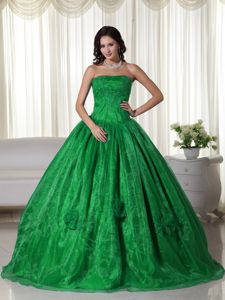 2013 Ball Gown Strapless Appliqued Dress for Sweet 16 in Green