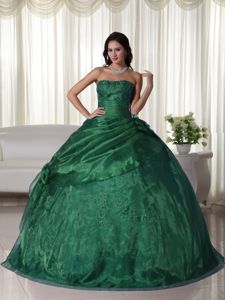 Dark Green Embroidery Pick Ups Flowers Dress for Sweet 15