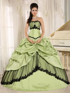 Apple Green Sweet Sixteen Dresses with Pick Ups and Appliques