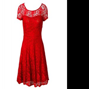 Admirable Scoop Short Sleeves Organza Tea Length Side Zipper Mother of the Bride Dress in Red with Lace