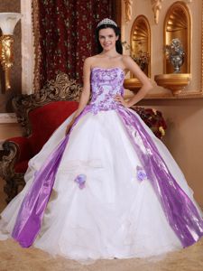 Colorful Sweet Sixteen Quinceanera Dresses with Appliques Flowers