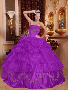 Purple Strapless Appliques Pick ups Sweet Sixteen Quinceanera Dress