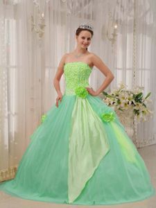 Flowers Accent Yellow Green and Apple Green Quinces Dresses 2013