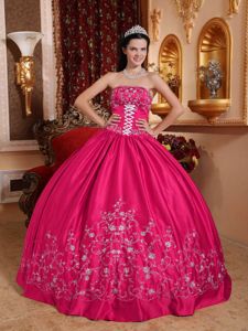 Embroidery and Lace-up Accent Quinces Dresses in Hot Pink 2013