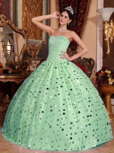 Beading and Paillette Accent Quinceanera Dresses in Apple Green
