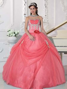 Watermelon Quinceanera Dress with Appliques and Hand Made Flower