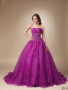 Impressive A-Line Princess Organza Beaded Quinceanera Dress