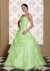 Beading and Flower Accent Yellow Green Quinceanera Gowns Dresses