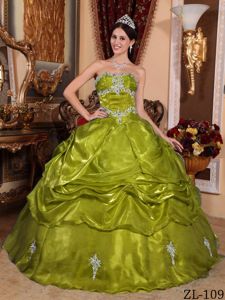 Olive Green Organza Dress for A Quinceanera with Appliques 2013