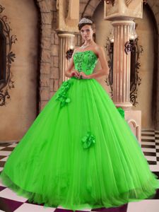 Flowers and Beading Accent Tulle Sweet 15 Dresses in Spring Green