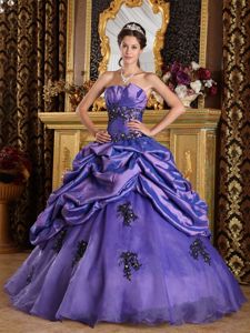 Purple A-line Quinceanera Gown Dresses with Appliques and Pick ups