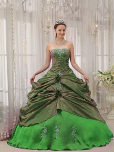 Green Ball Gown Strapless Special Fabric Appliques Quinceanera Dress