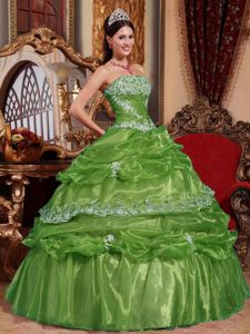 Ball Gown Appliqued Green Dress for Quinceaneras with Pick Ups