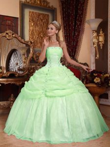 Strapless Ball Gown Apple Green Appliqued Quinceanera Gowns