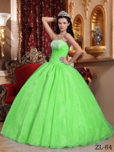 Fast Delivery Ball Gown Appliqued Spring Green Quinces Dress