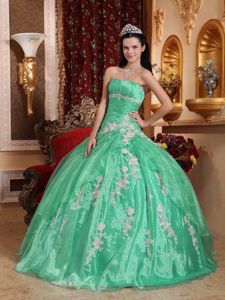Spring Green Quinceanera Gown with Appliques in Organza and Taffeta
