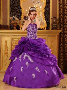 V-neck Embroidery Appliques Purple Ball Gown for Quinceanera