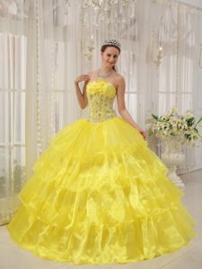 Appliqued Flowery Dresses for A Quinceanera in Bright Yellow