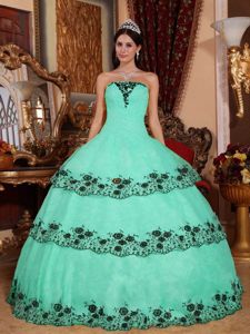 Apple Green Strapless Long Quinceanera Dress with Appliques 2013