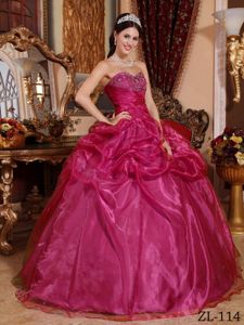 Fuchsia Organza Quinceanera Gown Dresses with Beading Pick ups