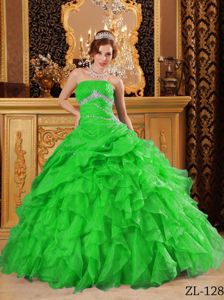 2014 Lime Green Organza Quinceanera Dress with Beads and Ruffles