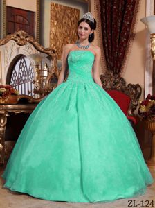 Apple Green Sweet Sixteen Quinceanera Dresses with Appliques