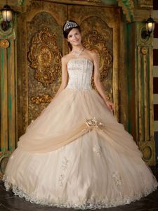 Champagne Quinceanera Gown by Tulle with Appliques and Flower