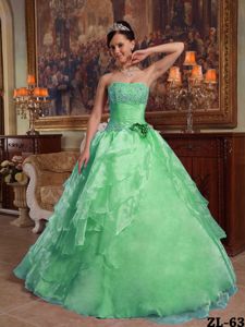 Green Organza Quinceanera Dress with Beading and Ruffles
