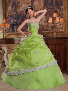 Yellow Green Sweetheart Quinceanera Gown Dress with White Appliques