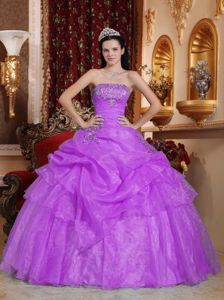 Purple Strapless Quinceanera Dress by Organza with Appliques and Beading