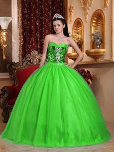 2014 Lime Green Quinceanera Dress with Bodice Made by Sequined Fabric
