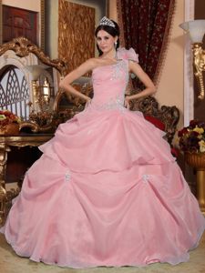 Pink One Shoulder Ball Gown Quinceanera Dresses with Appliques