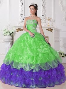 Green and Purple Organza Appliques Quinceneara Dresses