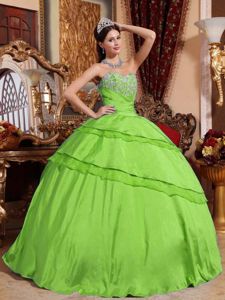 Spring Green Floor-length Sweet Sixteen Dresses with Appliques