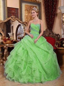 Spring Green Ball Gown Floor-length Quinceanera Dresses