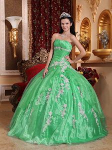 Apple Green Floor-length Sweet 15 Dresses with Appliques