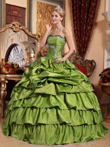 Olive Green Taffeta Quince Dresses with Pick-ups and Appliques