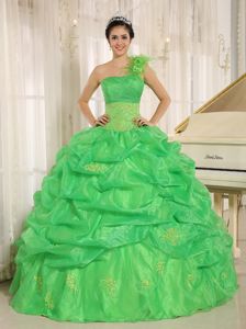 Spring Green One Shoulder Quinceneara Dresses with Pick-ups