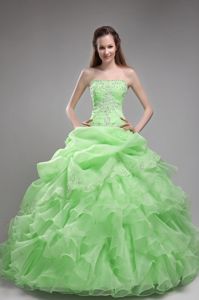 Beaded Spring Green Ruffled Organza Quinceanera Gown Dresses