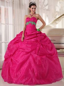 Hot Pink Quinceanera Dress with Pick-ups and Green Appliques