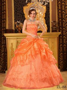 Popular Orange Red Embroidery Dress for Sweet 16 with Pick-ups