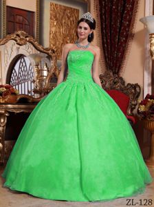 Spring Green Organza Ball Gown Dresses for 15 with Appliques