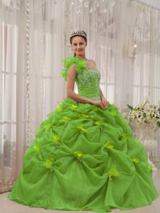 Green One Shoulder Appliques Organza Quince Dresses with Pick-ups