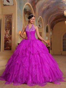 Fuchsia Halter Beading Organza Quinceanera Gowns with Embroidery