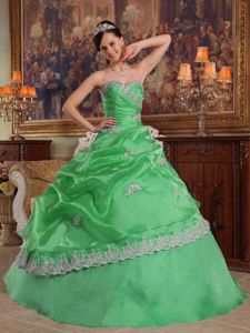 Exquisite Appliques Sweetheart Organza Sweet fifteen Dress in Green