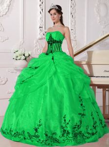 Green Strapless Organza Dress for Quince with Embroidery in Vogue